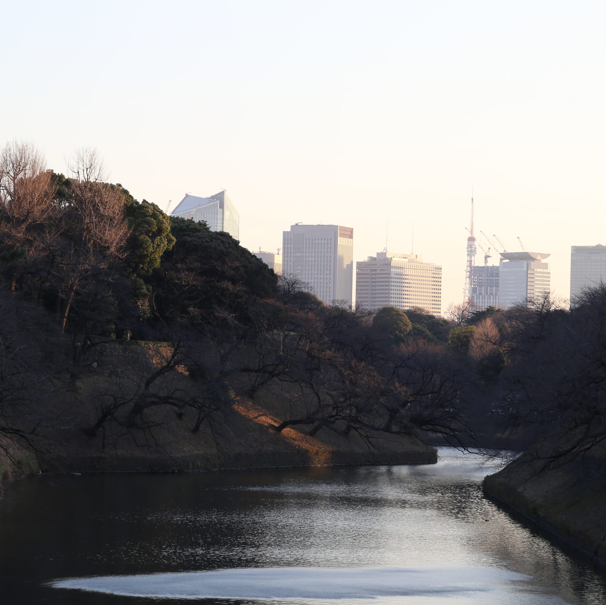 2018報告書_CatchUp