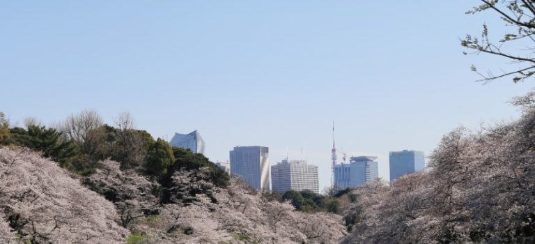 【お知らせ】エコ地域デザイン研究センター2019年度報告会を開催いたします。2020年2月25日 【お知らせ】エコ地域デザイン研究センター2019年度報告会を開催いたします。2020年2月25日